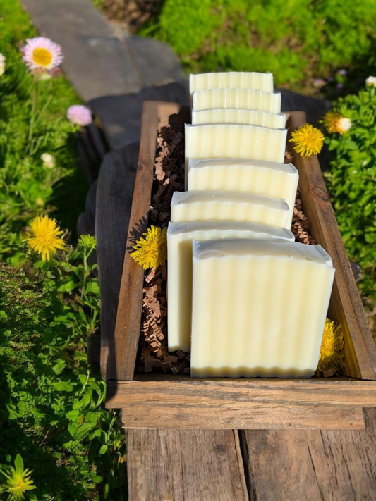 Tallow Soap Loaf - 10 bars